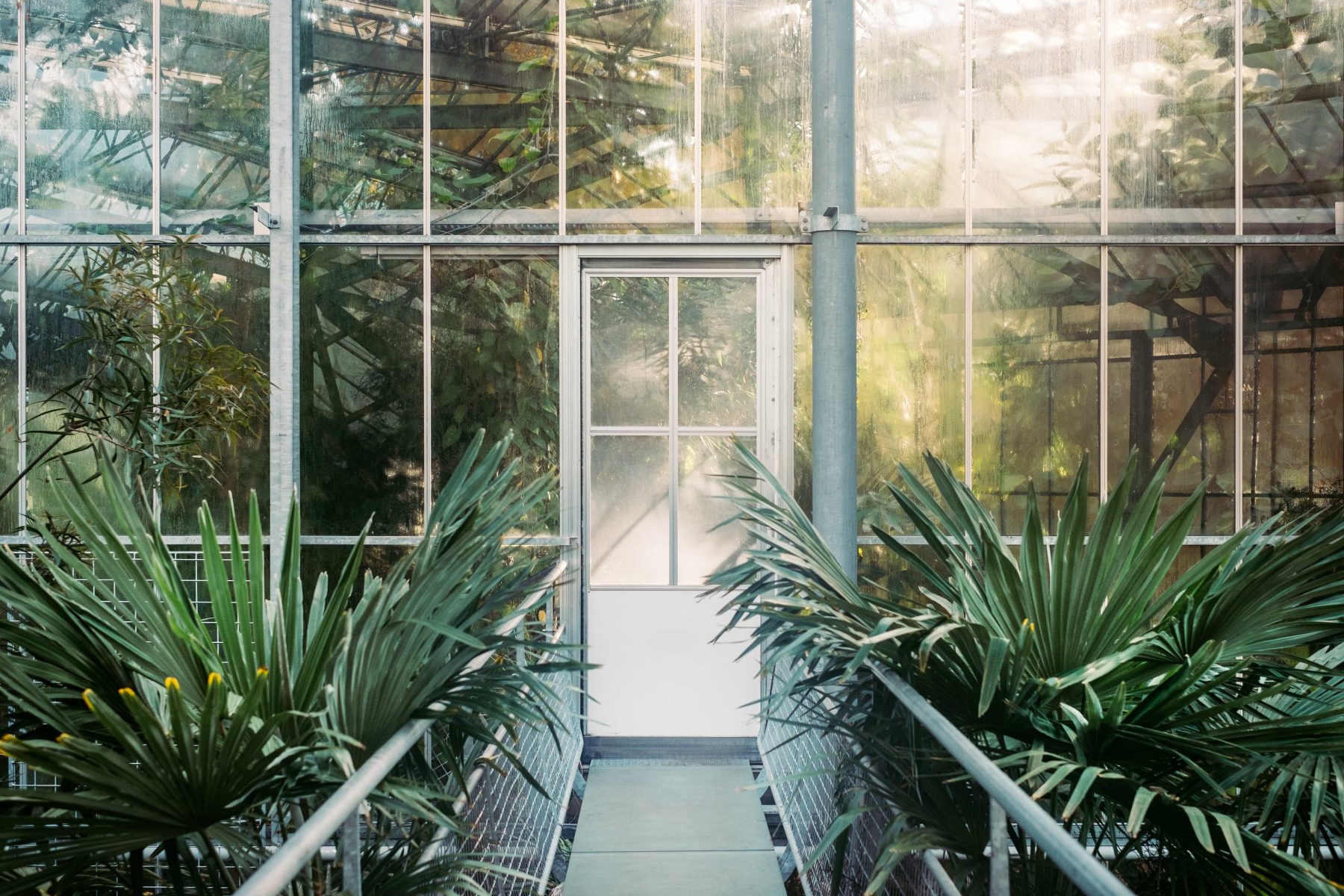 photo of a green conservatory with glass walls and door