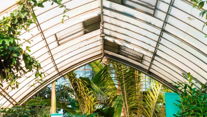 Samuel Zeller - Greenhouse with a Glazed Conservatory Roof